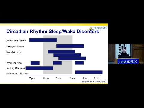 Non 24 Hour Circadian Rhythm and Its Mental Health Effects