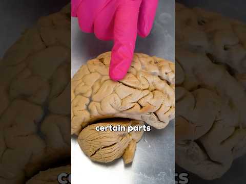 Hormones and Their Role in Anxiety and Depression