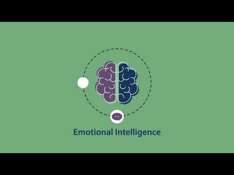 Evaluating Emotional Intelligence with the Schutte Test