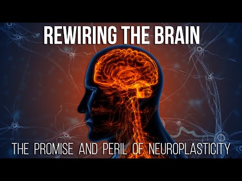 Harnessing Brain Plasticity for Mental Health Growth