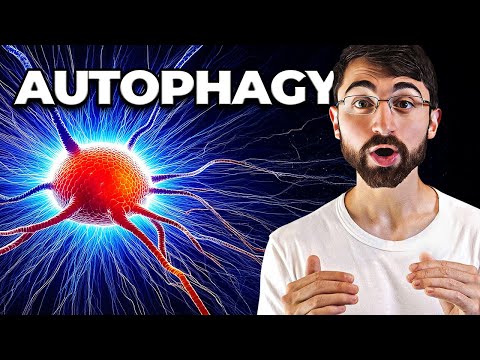 Chronic Stress and Depression: A Psychological Perspective