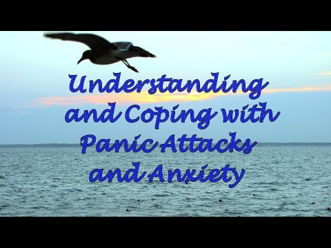 Coping with Daily Panic Attacks in Online Communities