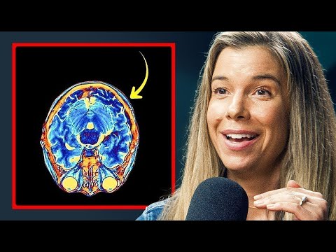 Vitamin D and the End of My Brain Fog Journey