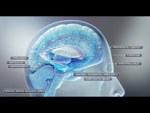 Taar1 Gene and Its Role in Schizophrenia Research