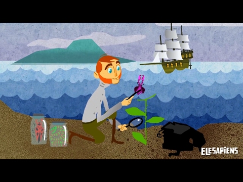 Darwin's Influence on MBTI and Mental Health Insights