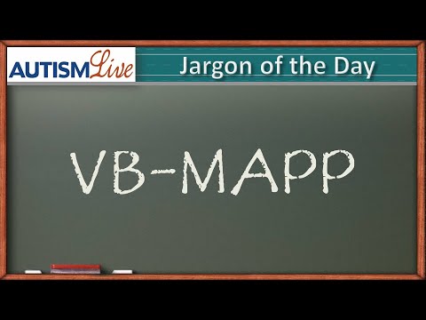 VB MAPP Meaning and Its Role in Autism Assessment