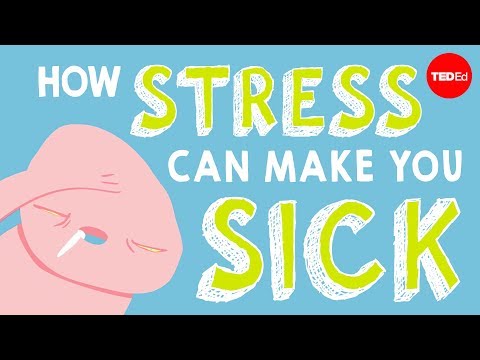 Chronic Stress Leads to Lasting Mental Health Challenges