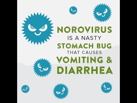 Cognitive Struggles After a Stomach Bug and Their Effects