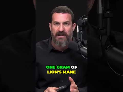 Lions Mane and SSRIs Effects on Mental Health Outcomes