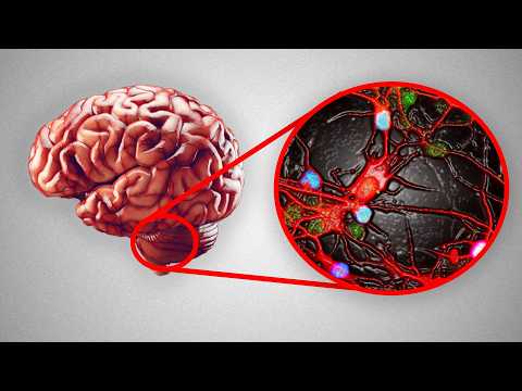 The Psychological Effects of Stopping SSRIs Abruptly