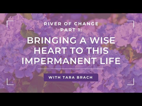 Embracing Acceptance in Mental Health with Tara Brach