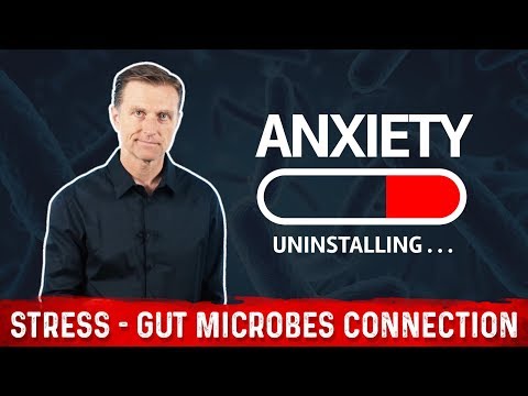 Gut Issues Linked to Brain Fog and Mental Health Struggles