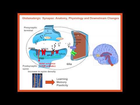 Innovative Approaches to Treating Depression in Psychology