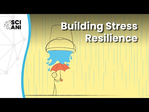 Building Resilience Through 3srb Strategies in Mental Health