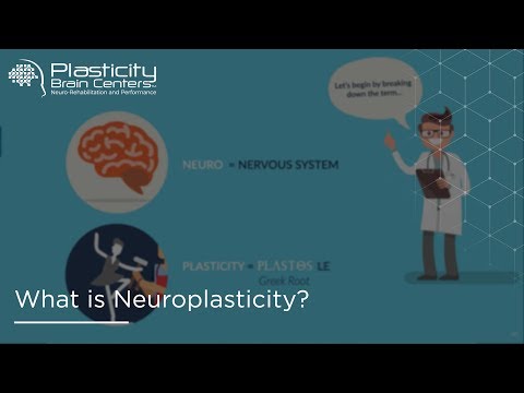 The Role of Brain Plasticity in Mental Health and Growth