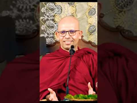 Healing Hearts: A Journey Through Slaa Recovery and Mental Health