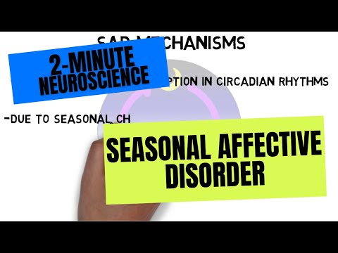 Seasonal Depression in the DSM-5 and Its Mental Health Effects