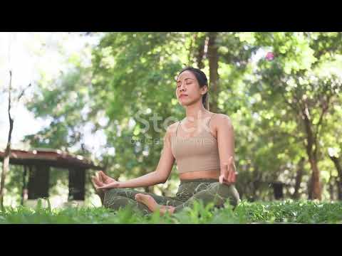 Ginseng and SSRIs: A Natural Approach to Mental Health