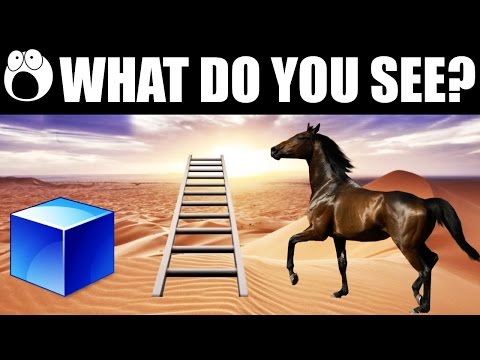 Discover Your Inner Self with TestColor Personality Test