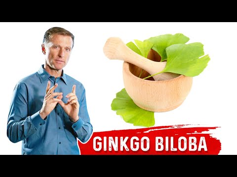 Ginkgo Biloba and Its Role in Schizophrenia Management