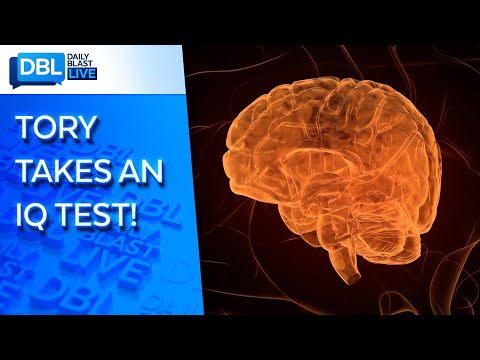 Mensa Intelligence and Its Influence on Mental Wellness